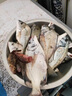 釣嗨尼誘餌籠海釣配件天平釣組串鉤釣魚(yú)不銹鋼沉底船釣深海打窩器海釣套裝釣魚(yú)配件垂釣裝備蝦籠魚(yú)餌打窩器 餌籠-特大號（適合深海釣使用） 曬單實(shí)拍圖