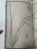 芥子園畫傳 花鳥卷·翎毛花卉譜下（康熙原版） 曬單實拍圖
