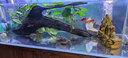玩家寶貝大型魚缸過濾器上濾槽滴流盒抽屜式防溢流抽拉式盒子鋁合金過濾槽 9盒 92CM 過濾器 曬單實拍圖