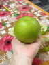 玫梔 碭山梨精品裝特級(jí)貢梨水果當(dāng)季整箱彩虹梨 9斤 禮盒裝 青皮蜜梨 順豐  精選果 曬單實(shí)拍圖