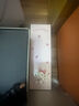 Hello Kitty兒童吸管杯幼兒園寶寶小學生上學水壺男女便攜可愛大容量運動水杯 粉色KT貓 580ml 一蓋兩用 曬單實拍圖