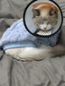 鉑吶苓狗狗衣服小型犬秋冬貓咪防掉毛衣幼貓銀漸層布偶泰迪小型幼衣服 狗狗毛絨衣【藍色】 L 曬單實(shí)拍圖