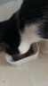 麦富迪（Myfoodie）猫粮 冻干鲜粮三文鱼鸡肉全期猫粮 1.8kg 实拍图
