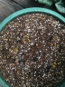 德沃多肥料绣球专用营养土15L园艺花卉盆栽种植土养花土壤稻壳土有机基质土 实拍图