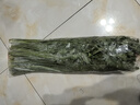 辰實【順豐】章丘鮑芹 原芹 山東芹菜農(nóng)家蔬菜清脆 現(xiàn)摘現(xiàn)發(fā) 5斤 曬單實拍圖