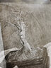 素描的藝術(shù)（魯本斯） 曬單實拍圖