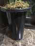 劉閣蘭花蘭科花卉通用特調土 君子蘭石斛多肉植物種植專(zhuān)用營(yíng)養土綠植花卉 A3套裝 曬單實(shí)拍圖