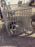 金格羽狗籠子大型犬中型犬薩摩耶金毛拉布拉多邊牧狗狗帶廁所狗籠l-大型 黑色--加粗鋼絲款(適合溫順犬) 長(cháng)78寬54高72cm(適合小型犬) 曬單實(shí)拍圖