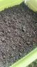 美乐棵进口压缩椰砖3L花土营养土栽培基质椰糠砖肥料花肥椰壳砖 实拍图