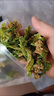 食念徽花菜干脫水蔬菜干貨菜類農(nóng)家自制椰菜花干火鍋土特產(chǎn)家用500g包郵 （食念徽甄選）花菜干500g 曬單實拍圖