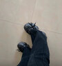 暴力熊（VIOLENTBEAR）男鞋老爹鞋秋季新款網(wǎng)面透氣運(yùn)動(dòng)鞋增高休閑時(shí)尚百搭潮牌女鞋情侶 棕擦（男女同款） 37 曬單實(shí)拍圖
