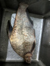 N·S BlackHoleNS米蘭達(dá)遠(yuǎn)投3代路亞竿 淡水海水直柄槍柄竿魚竿遠(yuǎn)投竿翹嘴釣竿 MH 中快(MF) C-792MH 曬單實(shí)拍圖