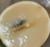 沐瑾冬蜜黃晶果牛奶果 新鮮水果蛋黃大果冬蜜黃金果應當季孕婦水果 優(yōu)選丨1斤-順豐-含箱 小果-單果100-150g 曬單實拍圖