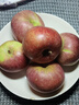 慧供蘋(píng)果正宗產(chǎn)地直發(fā)洛川奶油富士棲霞蘋(píng)果新鮮當季脆甜水果禮盒送禮 洛川8.5斤大果禮箱款【80-85mm】 曬單實(shí)拍圖