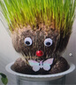 花友長(cháng)草頭娃娃開(kāi)花娃娃迷你兒童植物盆栽室內陽(yáng)臺 長(cháng)草娃娃1個(gè)+托盤(pán)1 曬單實(shí)拍圖