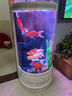 美之海魚(yú)缸客廳家用中大型歐式落地半圓柱形水族箱免換水生態(tài)金魚(yú)缸 歐式 60x50x138cm 曬單實(shí)拍圖