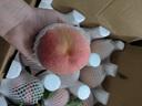 菓靈稥肥城肥桃佛桃 泰安特產(chǎn)脆甜桃新鮮水果山東大桃子水蜜桃中秋節 6顆單果9兩左右實(shí)惠裝 順豐直達 送禮佳品 曬單實(shí)拍圖