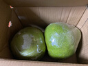 大象芭蕾泰國青柚子金柚進(jìn)口新鮮水果白心柚蜜柚翡翠柚現摘柚子 【巨無(wú)霸大果】?jì)蓚€(gè)6.5-7斤 曬單實(shí)拍圖
