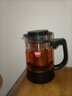 紫丁香耐熱玻璃茶壺茶具不銹鋼過(guò)濾普洱茶壺泡花茶壺玻璃養生壺S79 S79茶壺950ML 曬單實(shí)拍圖
