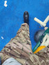 執(zhí)正官戰(zhàn)術(shù)束腿褲男軍迷戰(zhàn)術(shù)迷彩褲長(zhǎng)褲戶外特種作訓(xùn)褲防水工裝褲小腳褲 CP迷彩色 M號(hào)建議130-150斤 曬單實(shí)拍圖