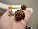 山中玉文玩核桃獅子頭麥穗虎頭獅虎獸把玩核桃手玩把件麻核桃七夕禮物 獅虎獸45mm左右 曬單實(shí)拍圖