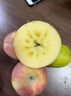 新疆阿克蘇冰糖心蘋(píng)果水果當季時(shí)令丑蘋(píng)果脆甜紅富士年貨節順豐 9斤 90-100mm禮盒裝 曬單實(shí)拍圖