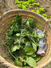大禹華油999油菜種子油菜籽農科院出油高黃油菜雜交矮桿油原種批發(fā) 華油999油菜籽種子 100g2袋正宗 曬單實(shí)拍圖