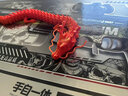 摩羯先生3d打印關(guān)節龍可活動(dòng)模型玩具中國神龍桌面擺件3D打印龍蛋汽車(chē)擺件 輻射綠【中國龍】 【長(cháng)約30cm】 曬單實(shí)拍圖