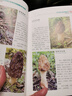 常見蘑菇野外識別手冊 好奇心書系 中國常見蘑菇種類大全 野生蘑菇鑒別寶典 食用蘑菇菌菇松茸菌類野生菌類 毒蘑菇辨別方法 采摘 曬單實拍圖