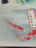 養(yǎng)心齋經(jīng)典臨摹畫譜 工筆鯉魚技法 曬單實拍圖