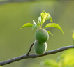 適馬（SIGMA）Sports運動版 全畫幅  單反 遠攝長焦 二手 長焦打鳥鏡頭 150-600mm F5-6.3 S版 佳能EF口 99新 曬單實拍圖