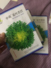 種菜記苦苣種子四季花葉苦苣菜籽陽臺盆栽蔬菜種子黃心碎葉苦菊庭院種植 申萌花葉苦苣5克 曬單實(shí)拍圖