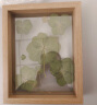 quatrefoil 透明木质双面玻璃相框植物标本立体画框 原木色8寸 实拍图