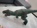 过凡（GUOFAN）恐龙玩具可发声软胶款霸王龙56CM长仿真动物儿童模型塑胶生日礼物 实拍图