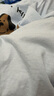 巴拉巴拉兒童睡衣套裝棉2025秋男童家居服女童【ninigogoIP】209925171201 曬單實拍圖