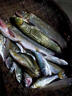 達瓦美紀釣魚(yú)竿裝備全套一套超輕魚(yú)竿手竿套裝鯽魚(yú)短節溪流桿垂釣漁具用品 4.5m +3.6米+實(shí)用全套32件 曬單實(shí)拍圖