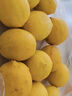 有機檸檬水果黃檸檬新鮮配送農場(chǎng)直發(fā)榨汁水果不打蠟產(chǎn)地直銷(xiāo) 2500g有機黃檸檬（四川農場(chǎng)-今年新果） 曬單實(shí)拍圖