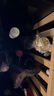 ALLAN SCOTT新西蘭進(jìn)口馬爾堡產(chǎn)區Sauvignon Blanc長(cháng)相思干白葡萄酒WS93分 2024SCOTT白標整箱6支裝 曬單實(shí)拍圖