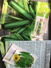 鳳鳴雅世黑美人西葫蘆種子蔬菜種子四季盆栽蔬菜種籽菜種子水果西葫蘆籽 黑美人西葫蘆種子10克約40多粒 曬單實拍圖