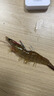 川品社活蝦鉤新款蝦背鉤橡皮筋彈簧海釣磯釣石斑鱸魚活蝦釣鉤專用魚鼻鉤 小中大號【各3枚】 曬單實拍圖