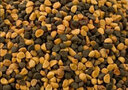 臨世堂黑丑 500g 中藥材 特級 二丑 黑牽牛 喇叭花子 牽牛子 曬單實拍圖