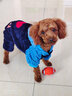 寵物圈（PETCIRCLE）秋季冬季狗狗衣服泰迪衣服寵物服飾狗衣服寵物泰迪狗狗衣服小型犬 愛(ài)心款藍色 S適合背長(cháng)28CM胸圍39CM重6-7斤 曬單實(shí)拍圖