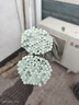玻璃纖維桿100根拱棚大小支架菜棚保溫棚花棚玻纖桿農(nóng)用拱竿骨架 白色 4毫米粗 2米長 100根 曬單實拍圖