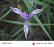艾博森（i-boxine）小米14/15ultra濾鏡  67mm濾鏡鏡頭套裝 小米14/15ultra攝影套裝 鏡頭濾鏡 UV鏡 黑柔濾鏡 偏振鏡 六款攝影師高端濾鏡套裝 （不含UV鏡) 曬單實拍圖