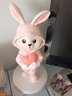 棕櫚樹(shù)（palmtree）可愛(ài)兔子擺件家居飾品喬遷生日禮物女生玄關(guān)桌面客廳電視柜裝飾 愛(ài)心帽子兔擺件-粉色 曬單實(shí)拍圖