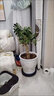 田園花木特大號陶瓷花盆大口徑家用客廳落地發(fā)財樹(shù)龜背竹專(zhuān)用白色幾何花瓶 低腰白金藤蔓中號+托盤(pán) 曬單實(shí)拍圖