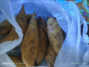 遂鮮坊浙江遂昌新鮮現(xiàn)挖冬筍春筍毛筍兩頭尖筍野生蔬菜火鍋食材批發(fā)整箱 凈重3斤大筍【單根6兩以上】 曬單實拍圖