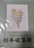 美浣植物標本收集冊干花壓花樹(shù)葉昆蟲(chóng)標本冊葉子四葉草楓葉收納本diy覆膜粘貼相冊手工制作自粘活頁(yè)夾 小號A5【20張】40面-太陽(yáng)花 曬單實(shí)拍圖