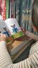 Pete the Cat 皮特貓英文 大全套33冊（My first 21冊+Level 1 12冊）情緒管理 I Can Read系列 分級閱讀 原版 兒童英文繪本 皮特貓 Level 1級別 12 曬單實(shí)拍圖