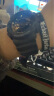 卡西欧（CASIO）手表男学生经典黑金时尚双显多功能时尚运动电子表 哑光黑玫瑰金GA-110RG-1A 实拍图